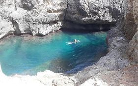 Casamare